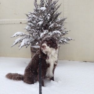 Meet your Posher, Gigi